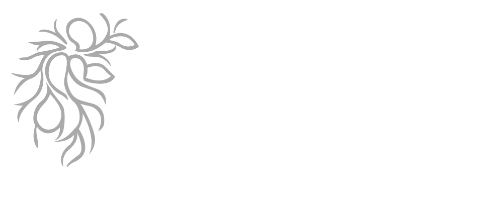 logo light